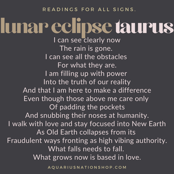 friday 19 november | lunar eclipse