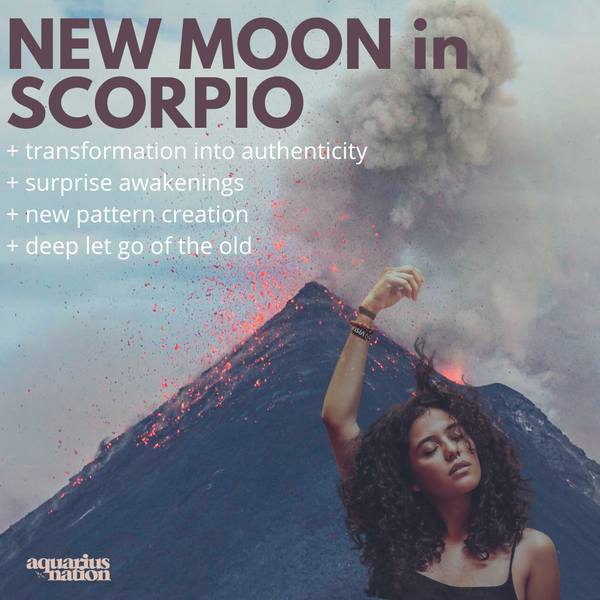 new moon in scorpio | per signs