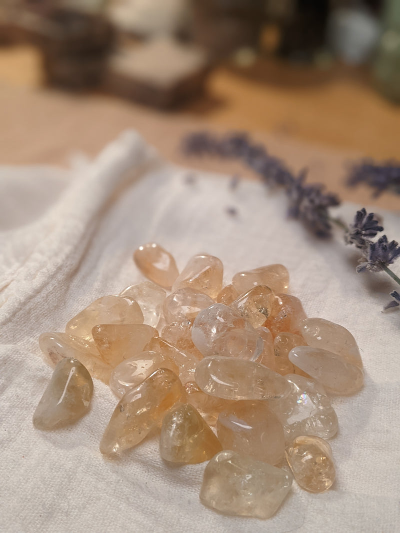 Planting Crystals  | Lucky Vibes.